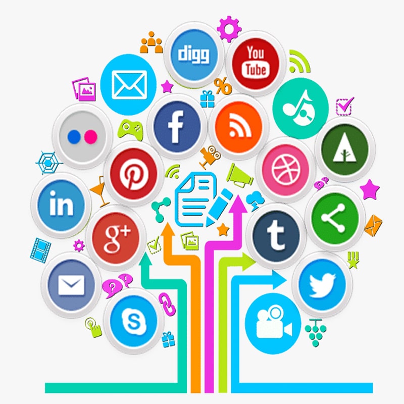 Social Media Campaign